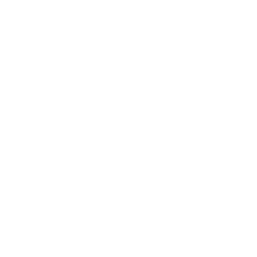 Auditory Processing